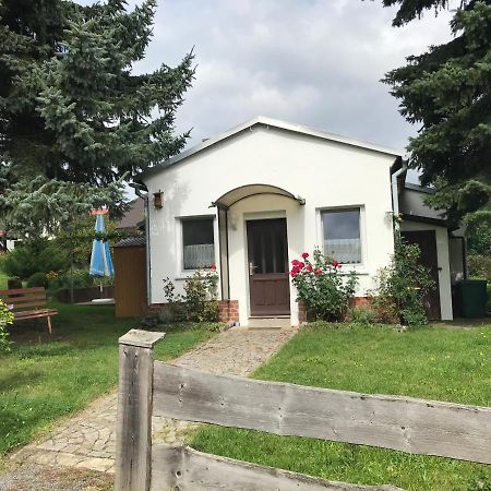 Ferienhaus am Kaltenstein Olbersdorf Exterior foto