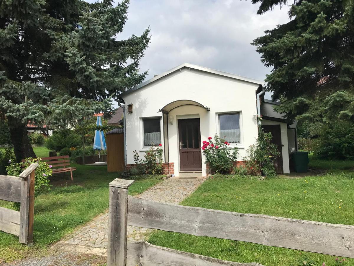 Ferienhaus am Kaltenstein Olbersdorf Exterior foto